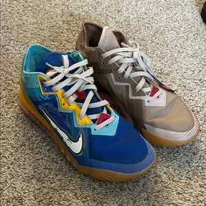 Nike Lebron XVIII Low Wile E. / Roadrunner